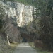 Julie Goins Photo 12