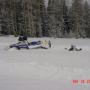Tricia Proctor Photo 10