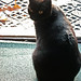 Jackie Butts Photo 15