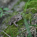 Kimberly Landers Photo 25