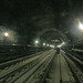 Ralph Dodd Photo 8