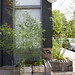 Lynn Weber Photo 14