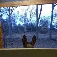 Nancy Lyles Photo 11