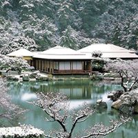 Bo Li Photo 30