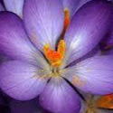 Tong Zhang Photo 15