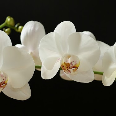 Caterine Calderon Photo 1
