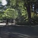 Amy Tabor Photo 16