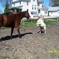 Amy Fleming Photo 32