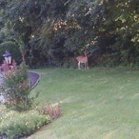 Cheryl Reynolds Photo 27