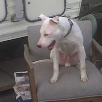 Eddie Howell Photo 24