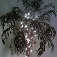 Deborah Campitelli Photo 1
