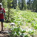 Angel Robinson Photo 15