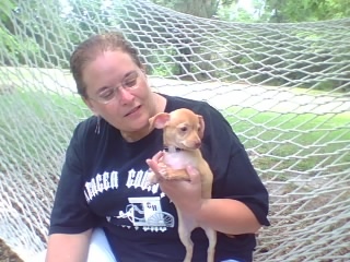 Debbie Weiss Photo 10