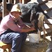 Mark Riordan Photo 21