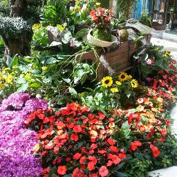 Regina Baker Photo 34