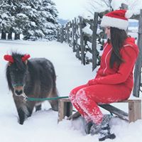 Sarah Canfield Photo 9