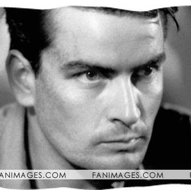 Timothy Mcknight Photo 29