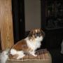 Gail Roy Photo 21