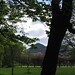 Arthur Meadows Photo 11