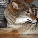 John Basile Photo 17