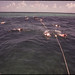 John Shell Photo 16