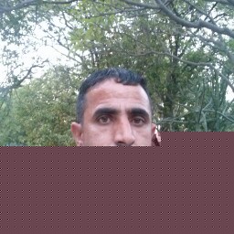 Showket Hussain Photo 11