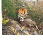 John Monaco Photo 29
