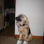 Bill Loftus Photo 16
