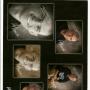 Jason Jensen Photo 6