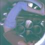 Patricia Dempsey Photo 25