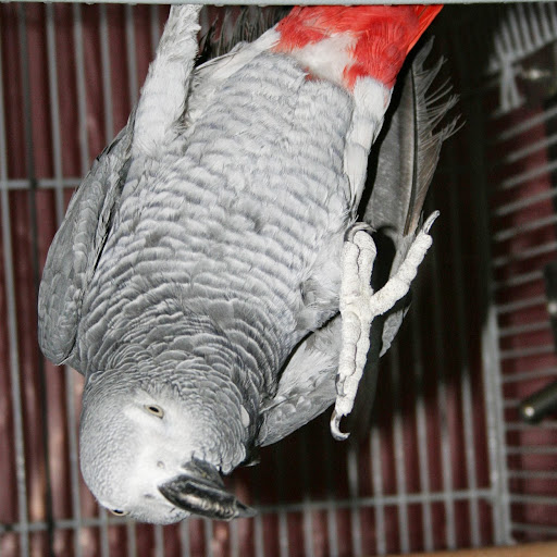 Amy Burd Photo 13