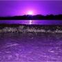 John Robichaud Photo 20