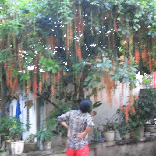 Dung Duong Photo 18