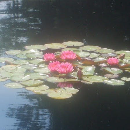 Kimberly Mathes Photo 5