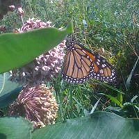 Laura Bivins Photo 5