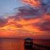 Theresa Sherman Photo 33