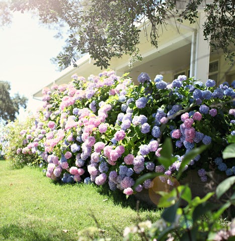 Mary Flood Photo 9