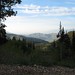 Willard Wheeler Photo 6