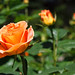 Ruthie Rose Photo 15