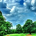 Helen Hays Photo 37