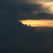 Dawn Ward Photo 23