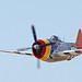 Hal Davis Photo 42