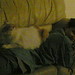 Jennifer Peach Photo 7