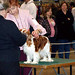 Carol Nickels Photo 10