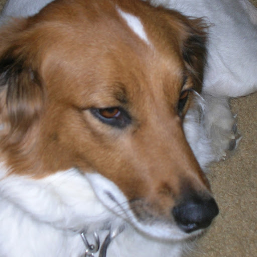 Mary Nolte Photo 10