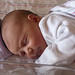 Jean Mccarthy Photo 9