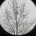 Robin Fuller Photo 17