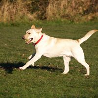 Sam Pritchett Photo 3