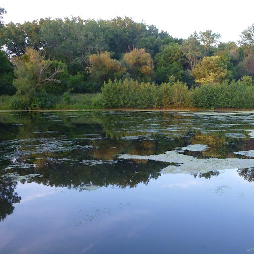 Betty Larson Photo 28