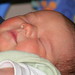 Amanda Reese Photo 6